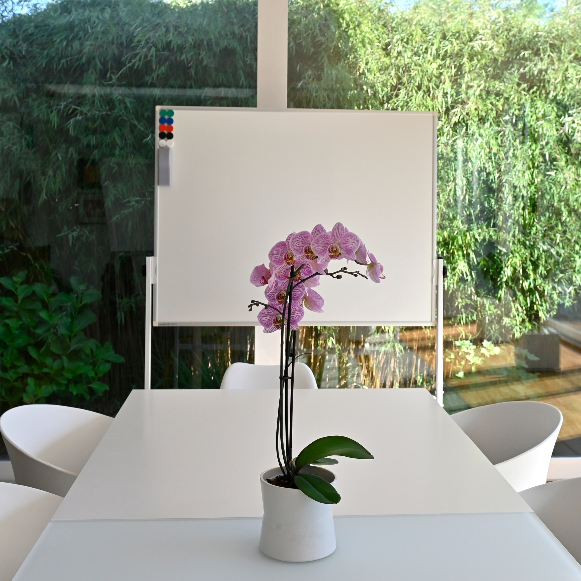 vergaderzaal Whiteboard